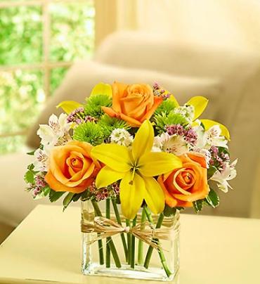 Fields of Europe in Rectangle Vase