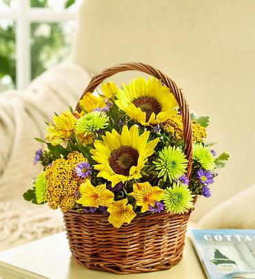 Fields of Europe™ for Summer Basket
