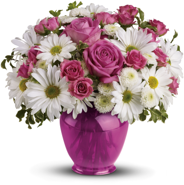 Pink Daisy Delight