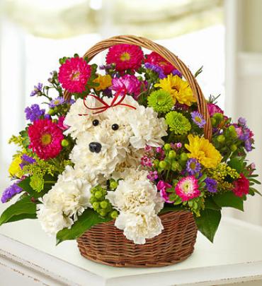 a-DOG-able® in a Basket