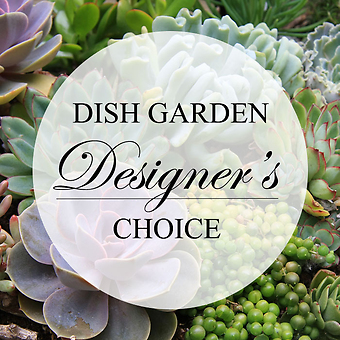 Designers Choice Dish Garden