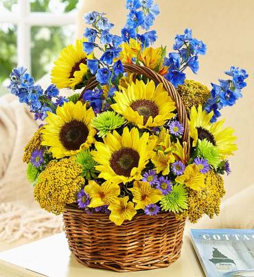 Fields of Europe™ for Summer Basket